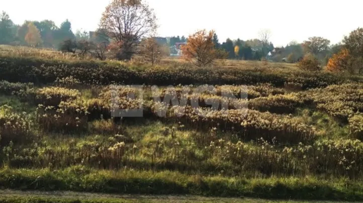 Grunt rekreacyjny/p.o.d. na  sprzedaż Wrocław - Działka rolna 9900m2 bez prowizji, Wrocław Kowale.