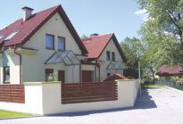 Złote sokoły w Krakowie