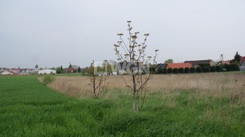 Grunt inwestycyjny na sprzedaż Ruszowice
