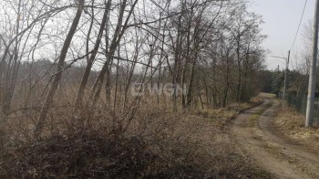 Grunt rolny na sprzedaż Buczek