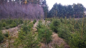 Działka budowlana na sprzedaż Żaganiec
