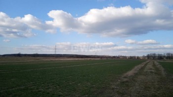 Działka budowlana na sprzedaż Grzymalin