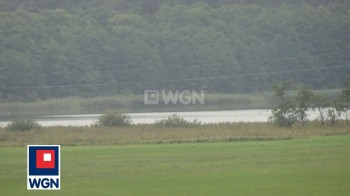 Grunt leśny na  sprzedaż Koszelewki - NOWA, NIŻSZA CENA !!