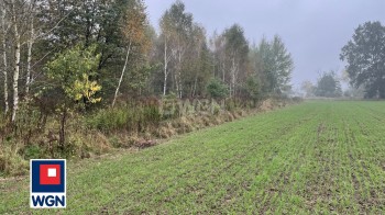 Grunt rolny na sprzedaż Sieraków