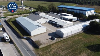 na sprzedaż Nieruchomość komercyjna Piotrków Trybunalski, Niechcice