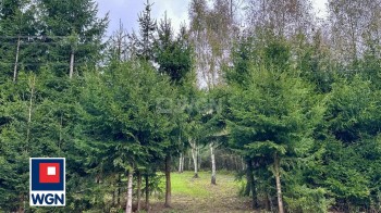 Działka budowlana na sprzedaż pustków