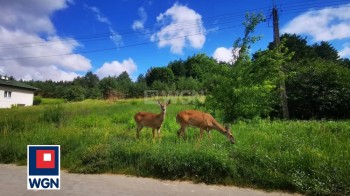 Grunt budowlany jednorodzinny na  sprzedaż Nawra - SPEŁNIJ MARZENIA O WŁASNYM DOMU! WYJĄTKOWA DZIAŁKA NAWRA - WARMIA I MAZURY