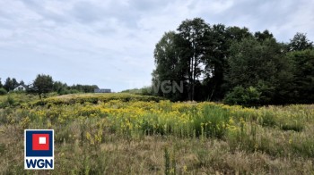 Działka budowlana na sprzedaż Przyłęk