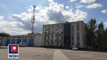 Lokal usługowy na wynajem Polkowice