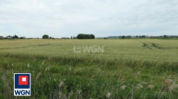 Działka budowlana na sprzedaż Kwidzyn