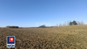 Grunt rolny na sprzedaż Lepaki Wielkie