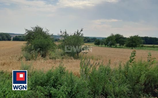 Grunt rolny na sprzedaż Putnowice-Kolonia