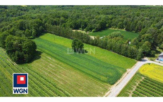 Grunt siedliskowy na  sprzedaż Drzewce-Kolonia - Działka 5791 m2Kolonia Drzewce, gmina Nałęczów