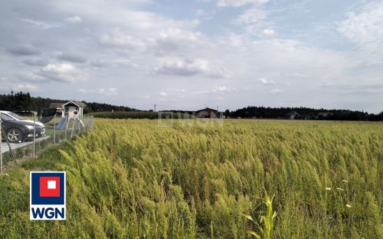 Grunt budowlany jednorodzinny na  sprzedaż Lisak - Tania działka pod Golubiem-Dobrzyniem